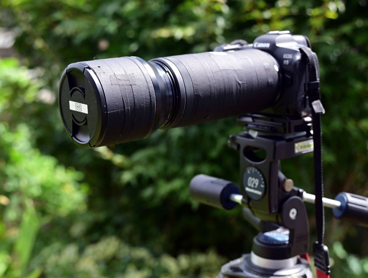極上品] Canon RF100-400mm F5.6-8 IS USM 【公式通販】