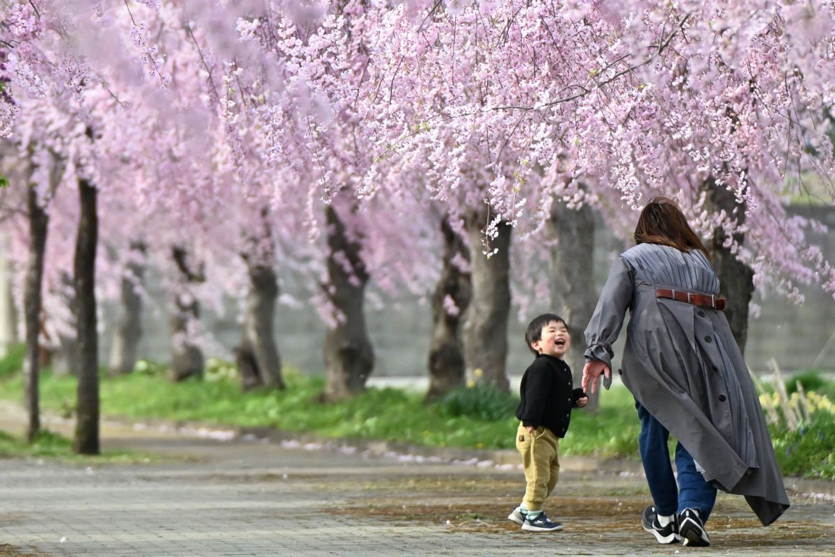 写真・グラフィック 70. Nikon】開放F値2.8なのに軽量コンパクト！「NIKKOR Z 70-180mm