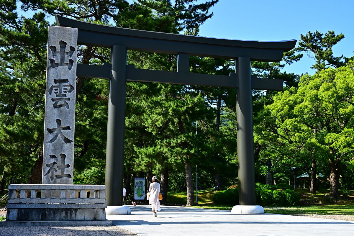 NIKKOR Z 24-70mm f/2.8 Sで撮影された写真 | 写真検索 | GANREF