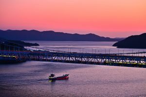 写真 サムネイル