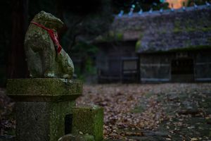 もみじ公園の紅葉 ① NIKKOR Z 24-120mm f/4 S | GANREF