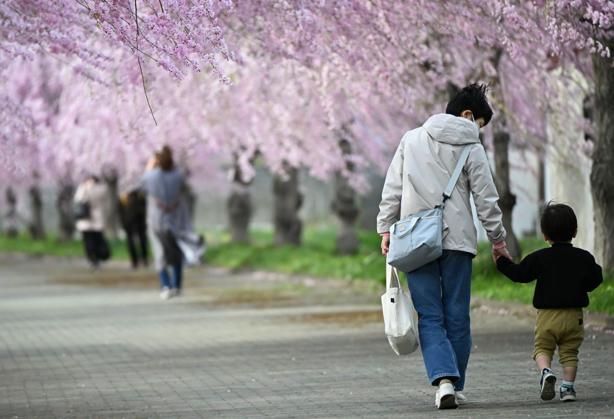 NIKKOR Z 70-180mm f/2.8で撮影された写真 | 写真検索 | GANREF