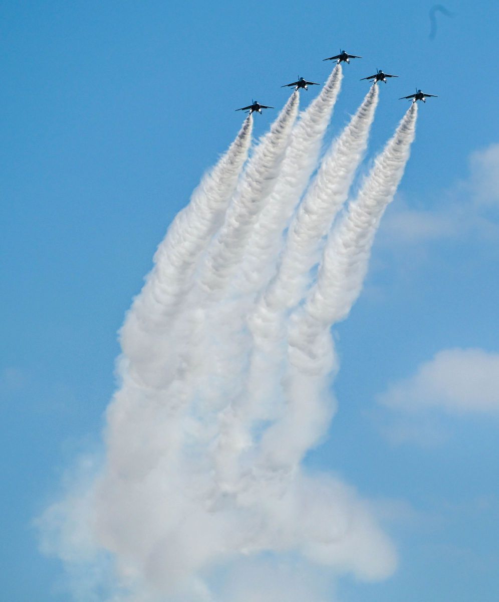 ブルーインパルス ① | GANREF