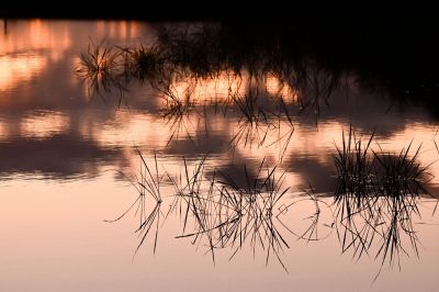 夕暮れの水面    NIKKOR Z 24-70mm f/2.8 S II