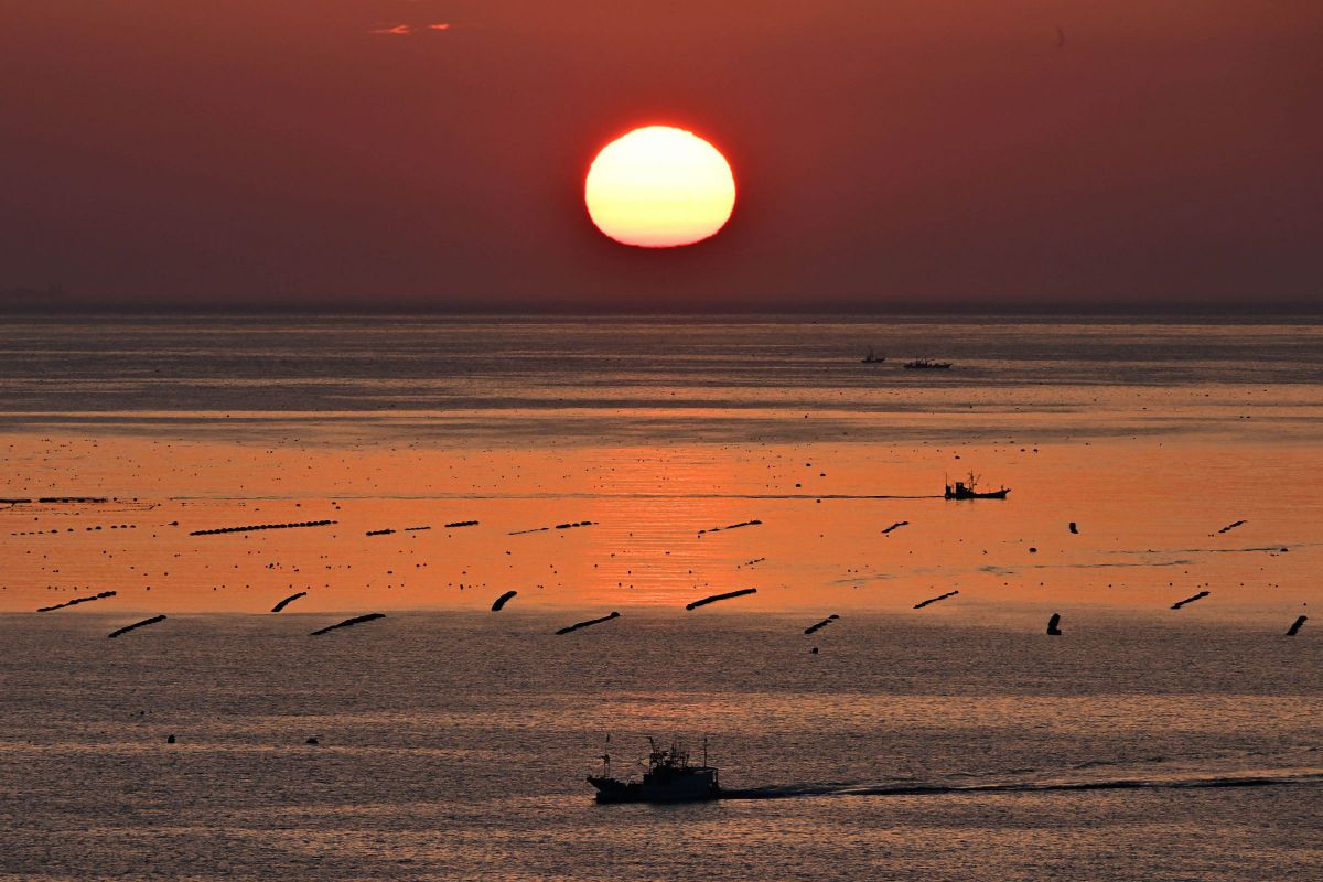 Z6IIIで撮影された写真 | 写真検索 | GANREF