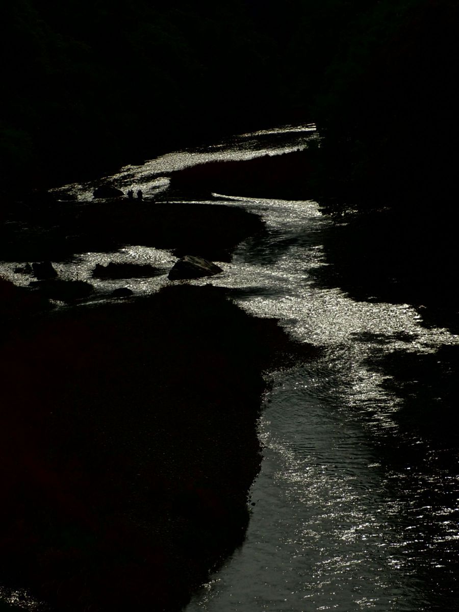 River | GANREF