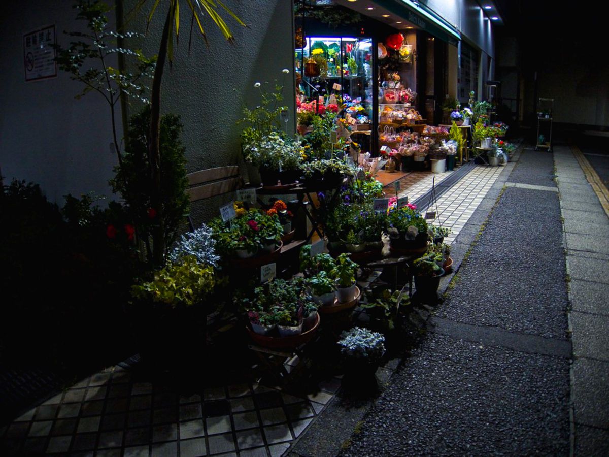 COOLPIX P330で撮影された写真 | 写真検索 | GANREF
