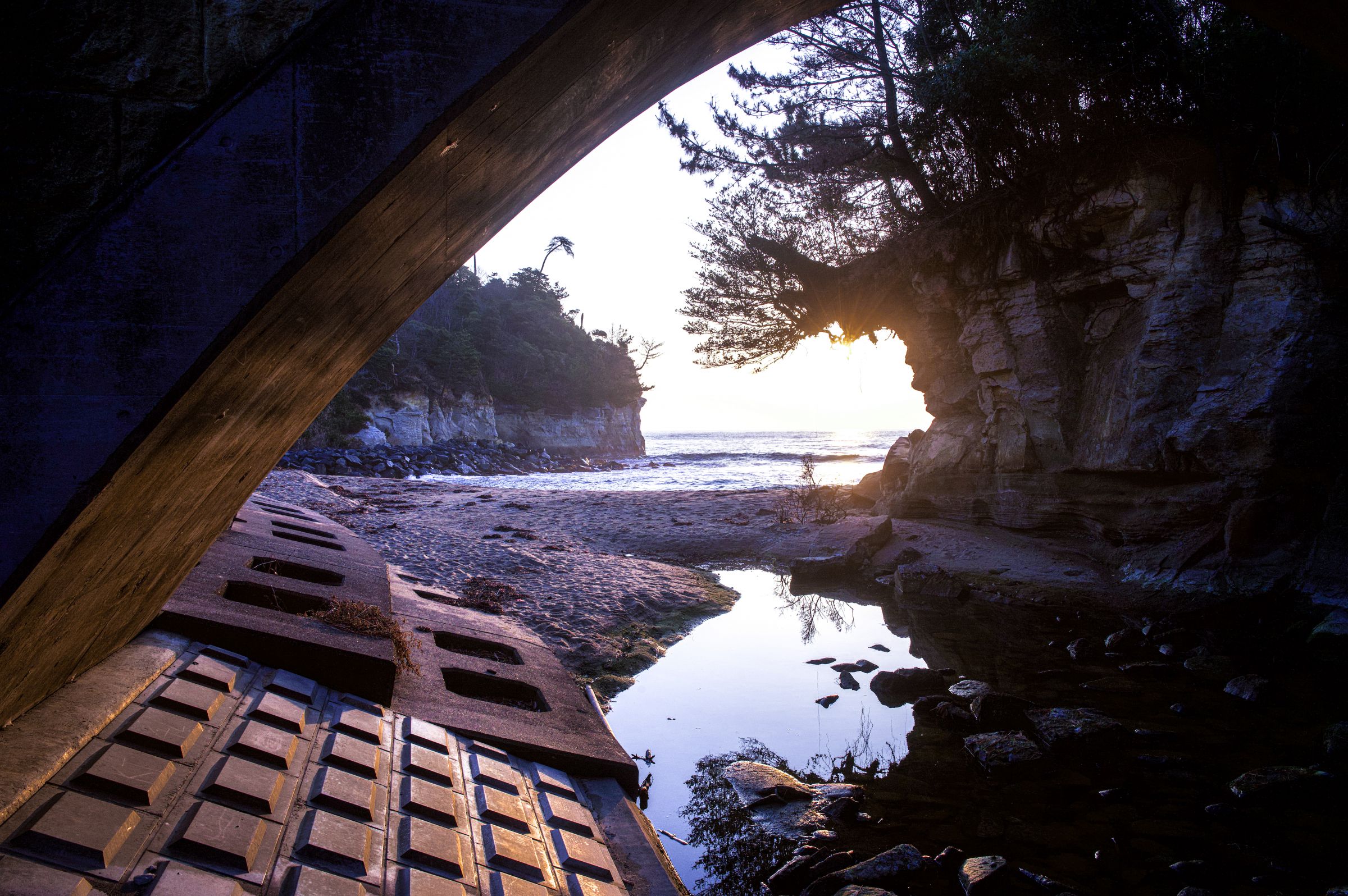 海が見たくて。 | GANREF