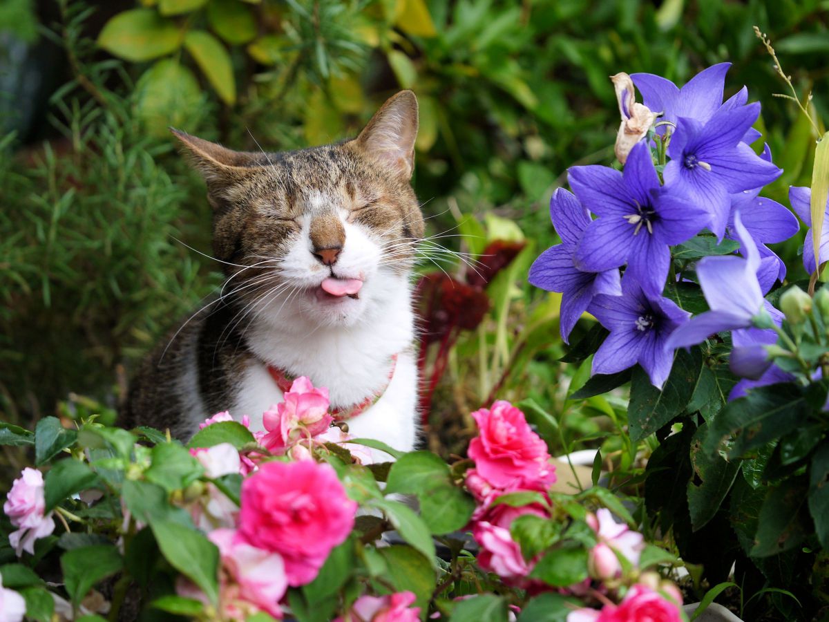 LUMIX DMC-GF3 【作例あり】 Panasonic Lumix DMC-GF3 sample image | Sample image taken wi… | Flickr