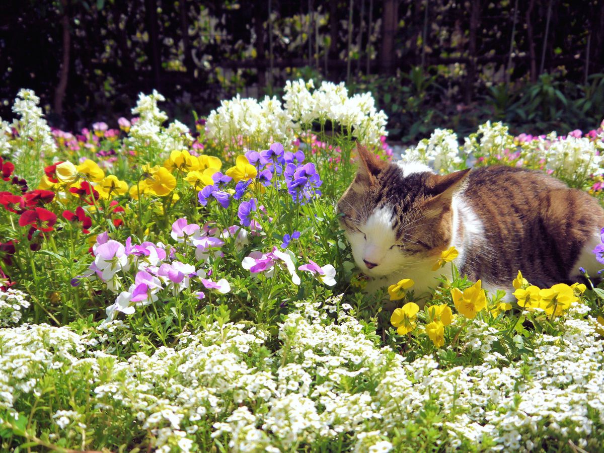 LUMIX DMC-GF3 【作例あり】 LUMIX DMC-GF3で撮影された写真 | 写真検索