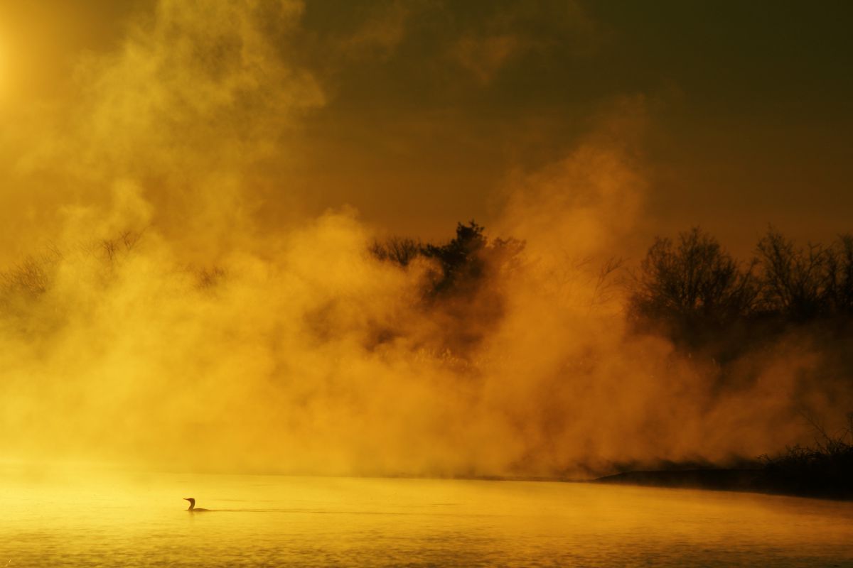 EF-S55-250mm F4-5.6 IS IIで撮影された写真 | 写真検索 | GANREF