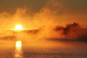 724c548656abd79c900ed9dbfa1ed5