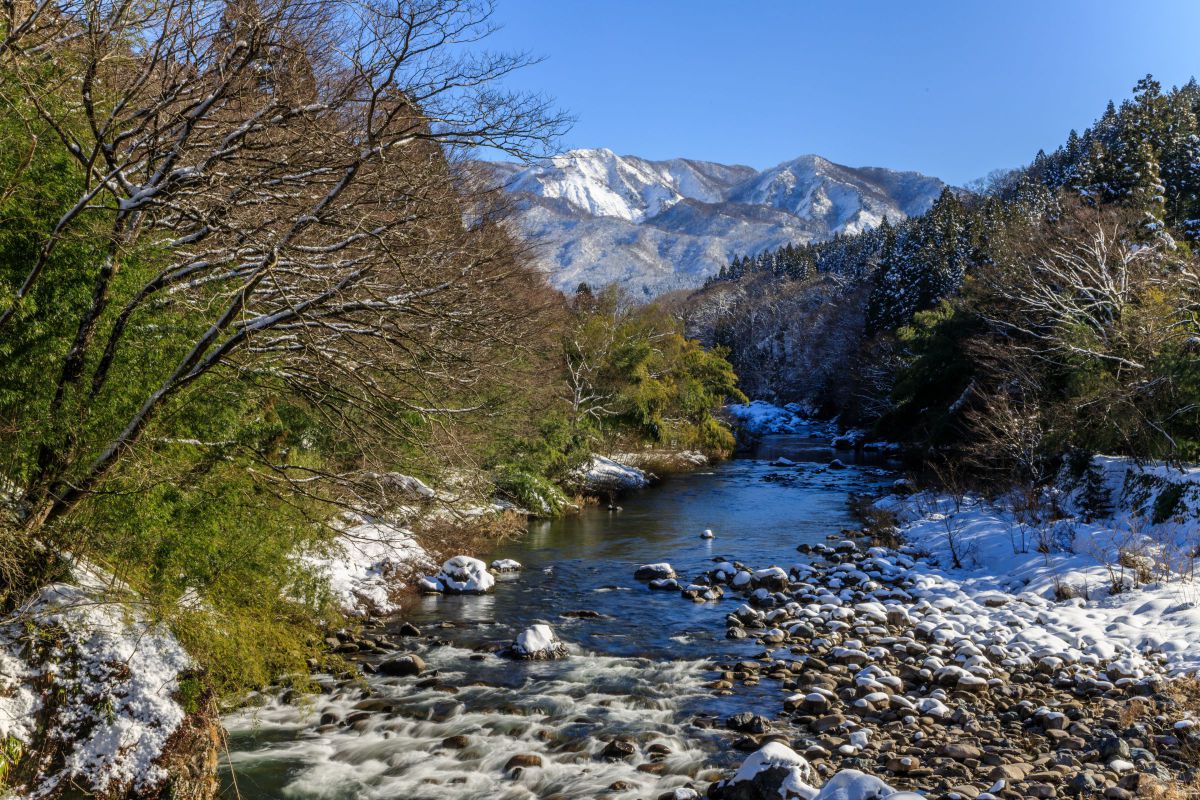 winter season | GANREF
