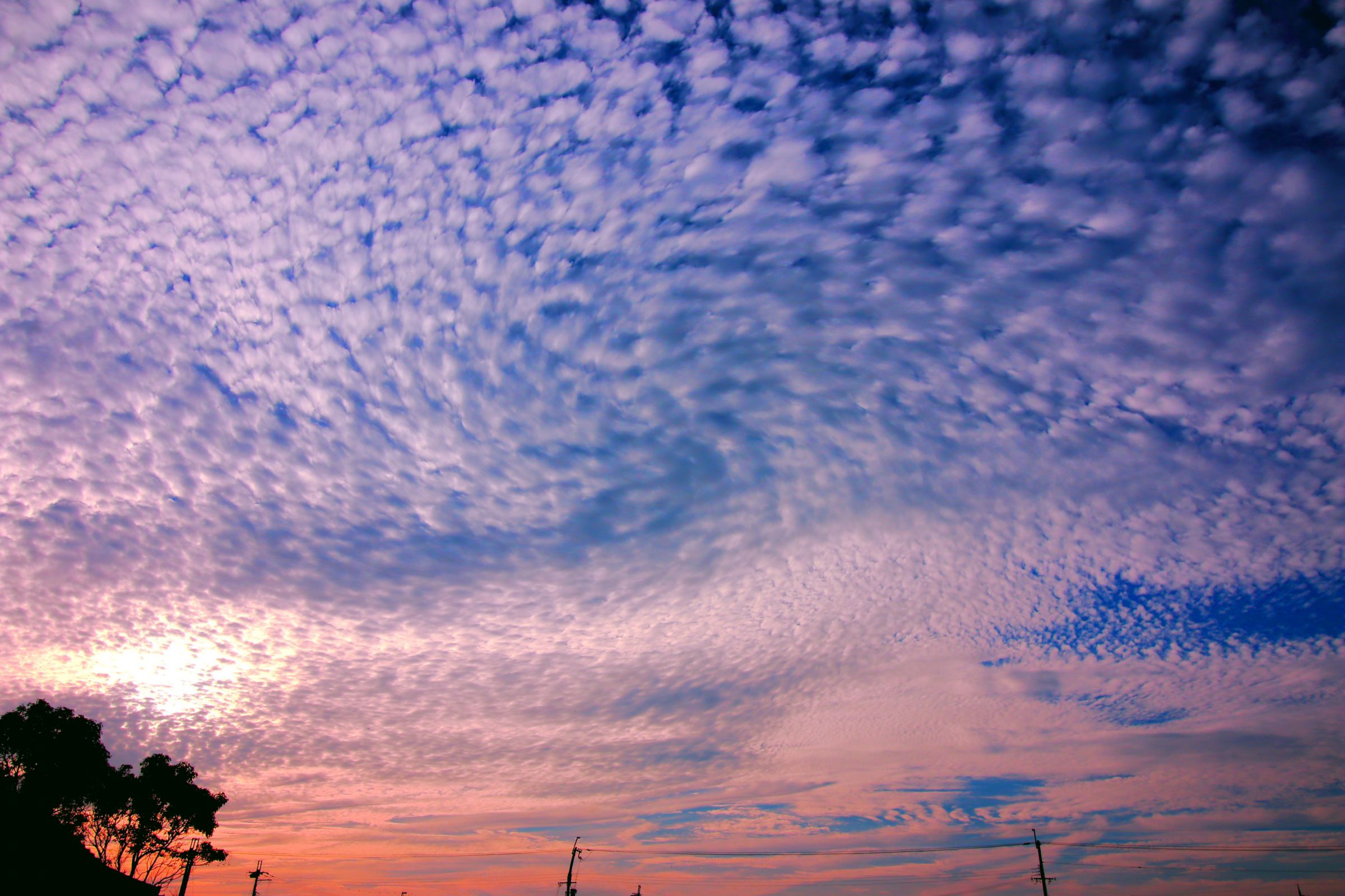 巻き雲 巻雲 (Cirrus, Ci)