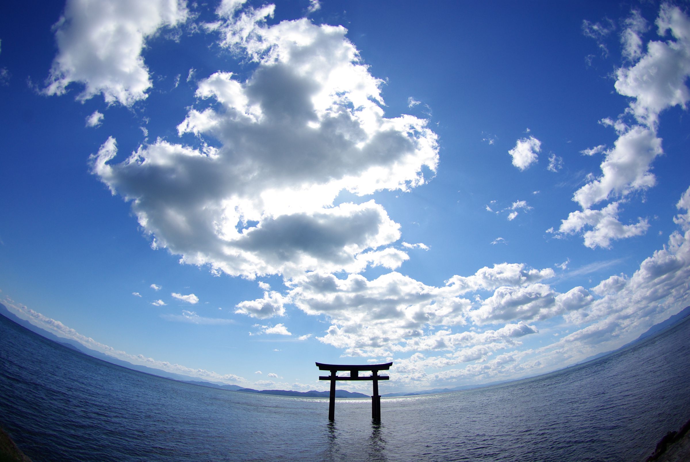 フィッシュアイらしく | GANREF