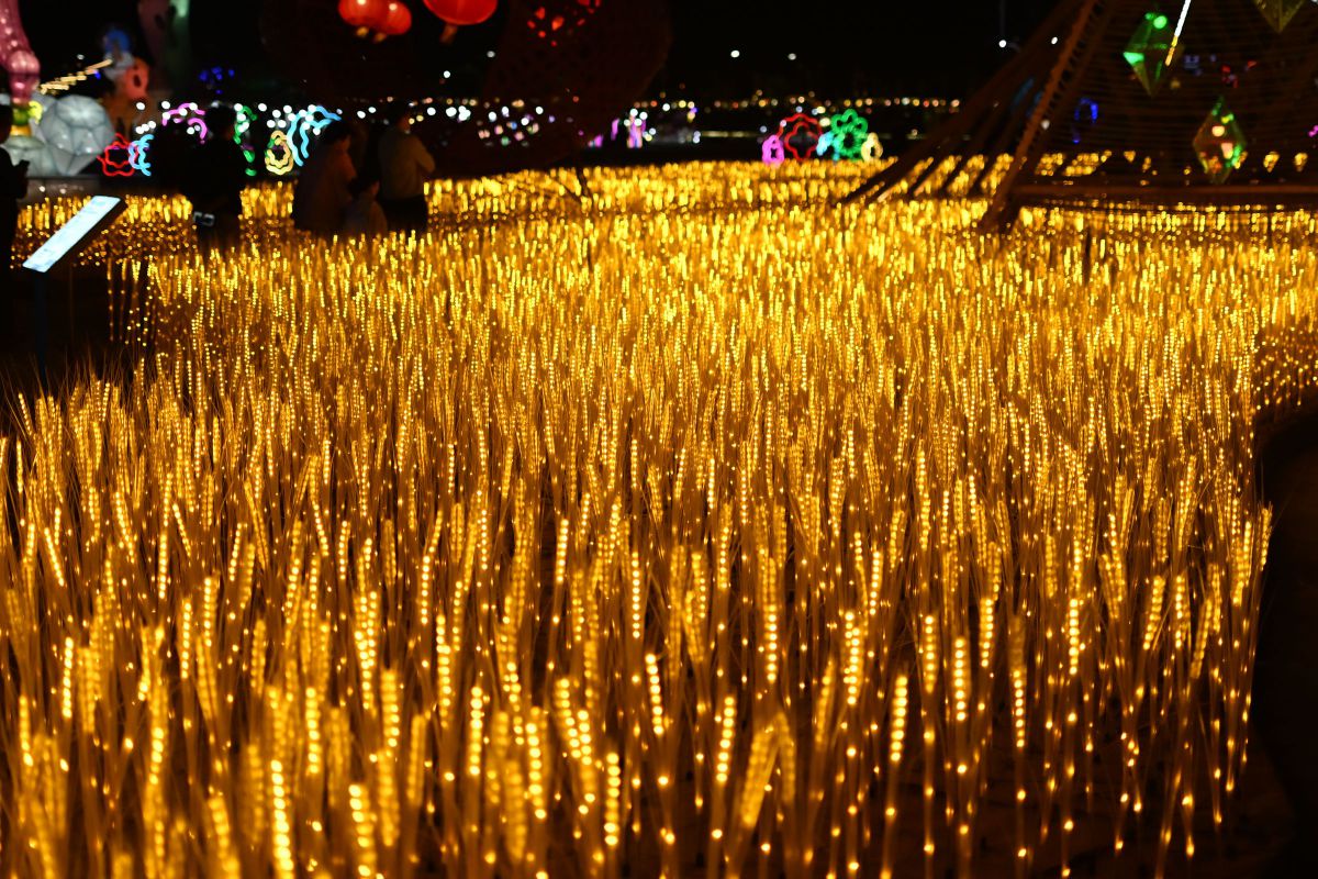 Light | GANREF