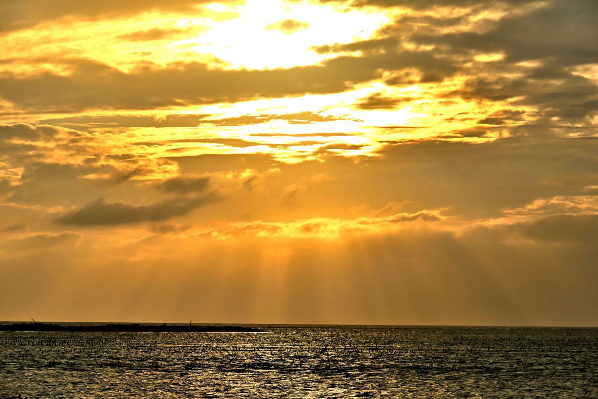 Yellow | GANREF