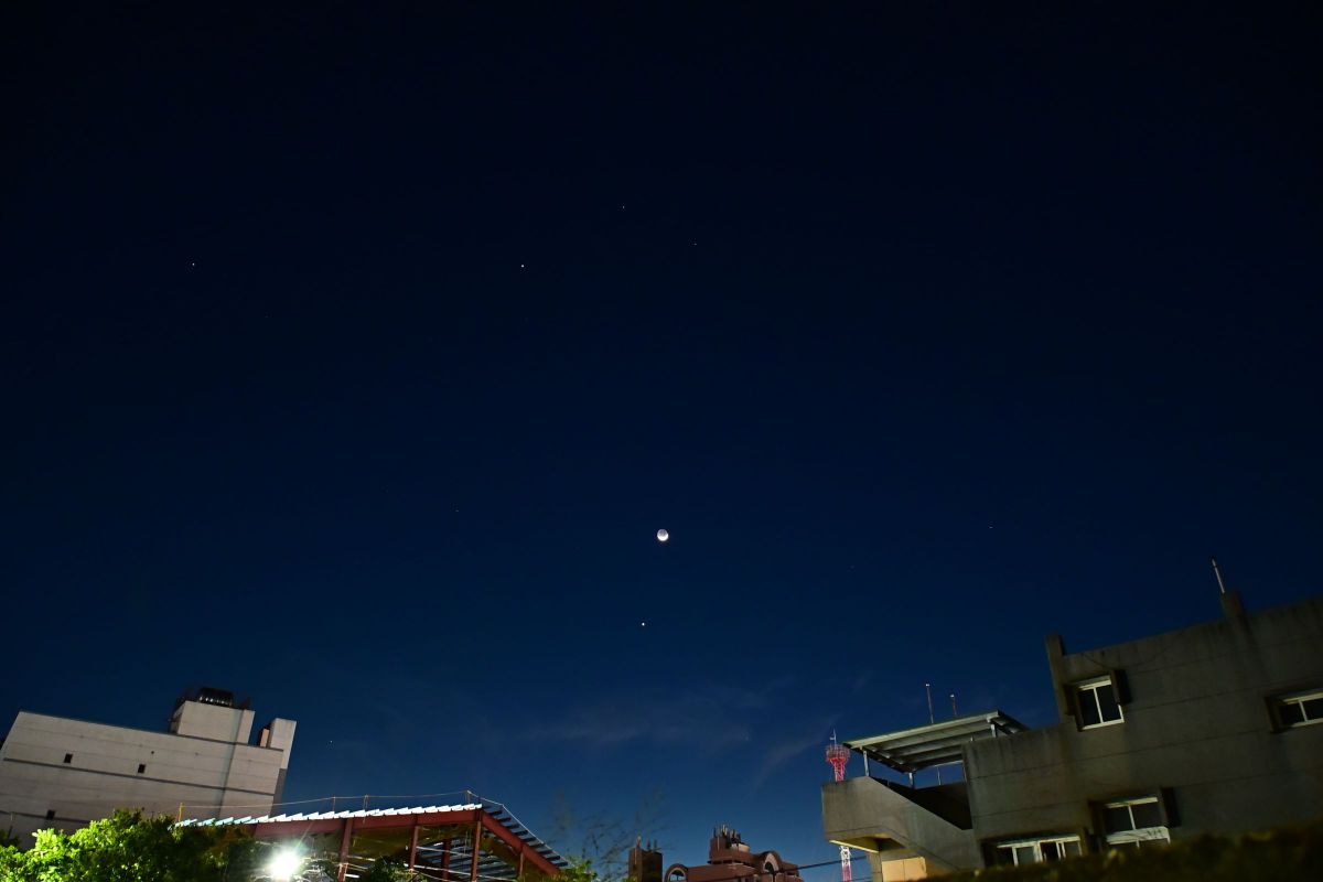 Moon and Star | GANREF
