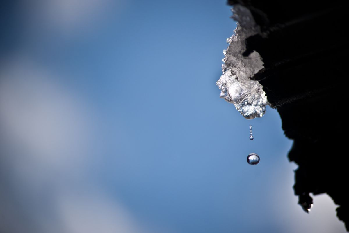 落ちるしずく 自然 風景 その他 Ganref