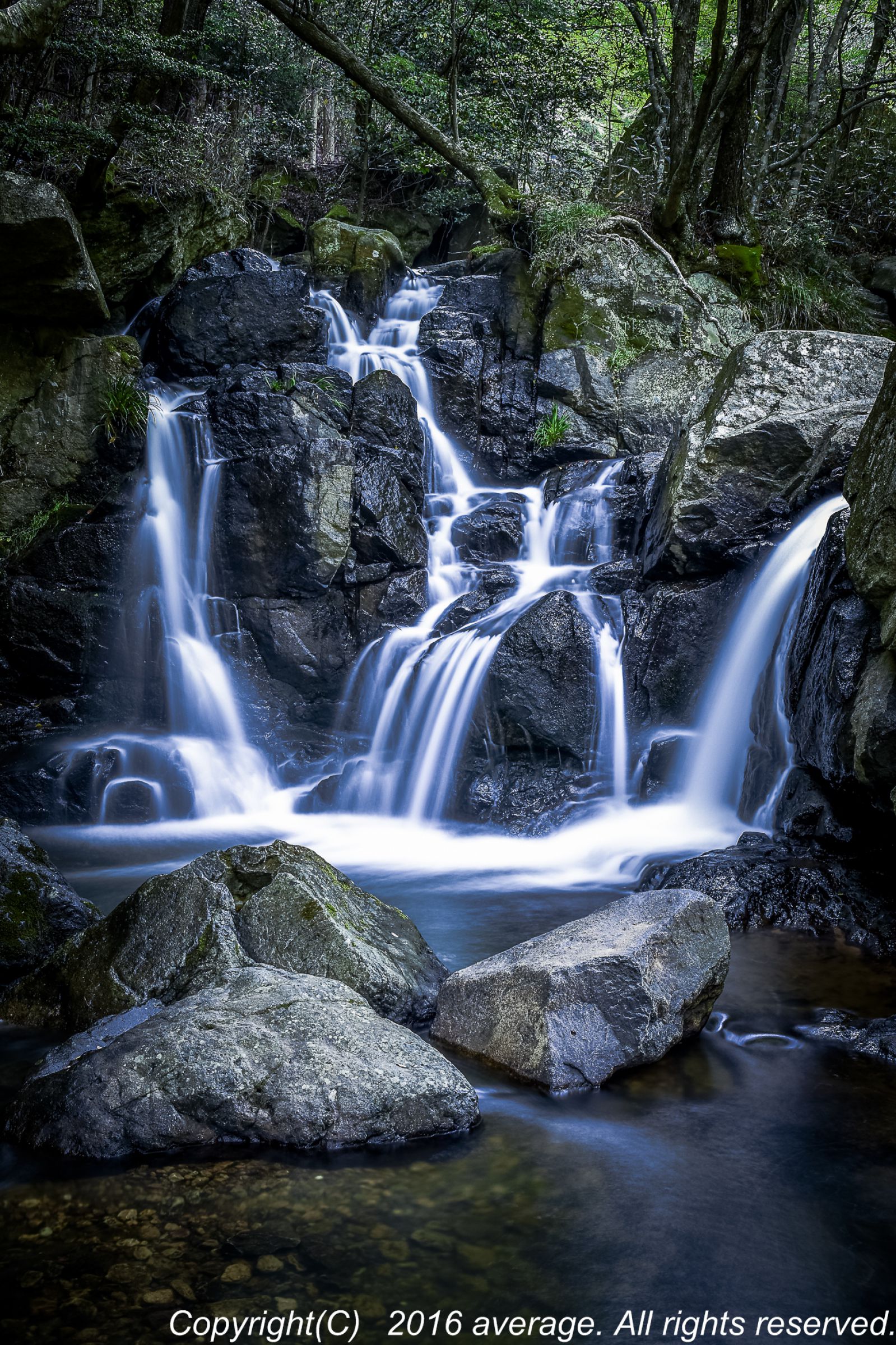 兵庫県 尼ン滝 | GANREF