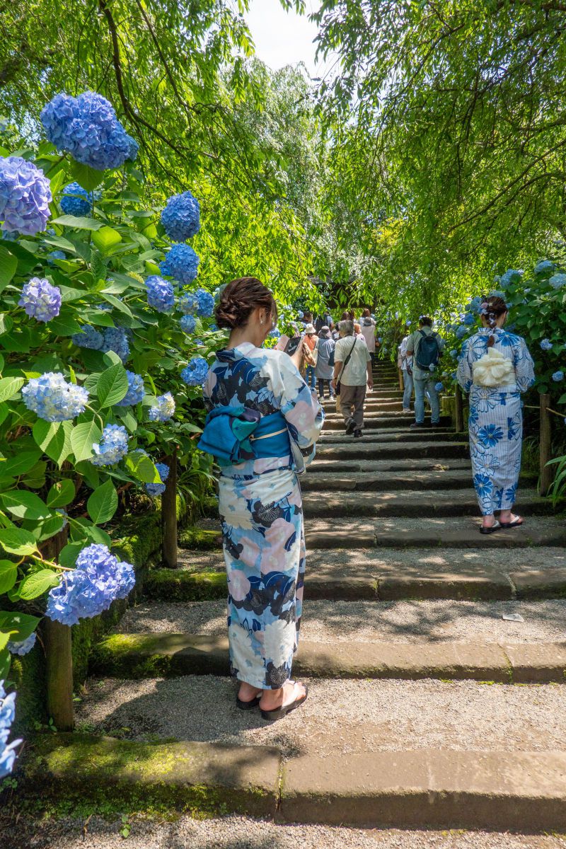 Blue in Green | GANREF