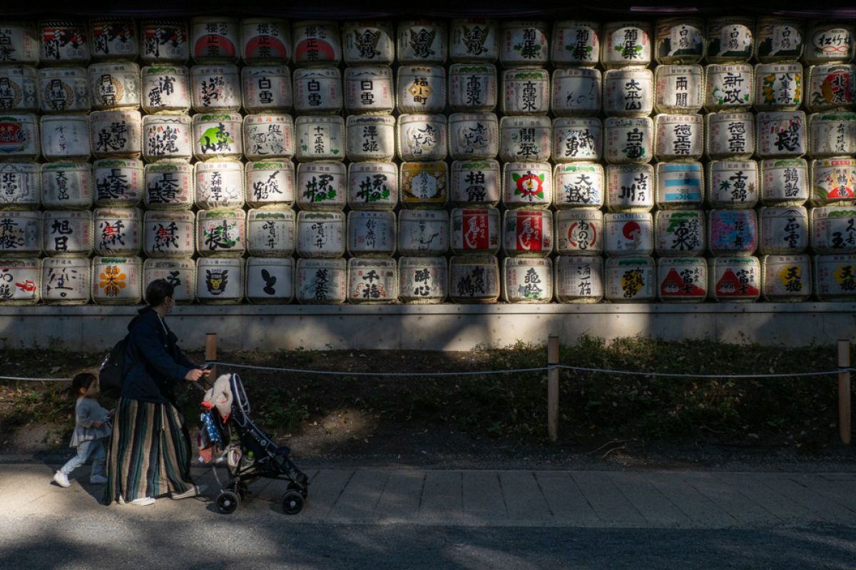 木漏れ日の参道 街並み 建物 神社 寺 教会 Ganref