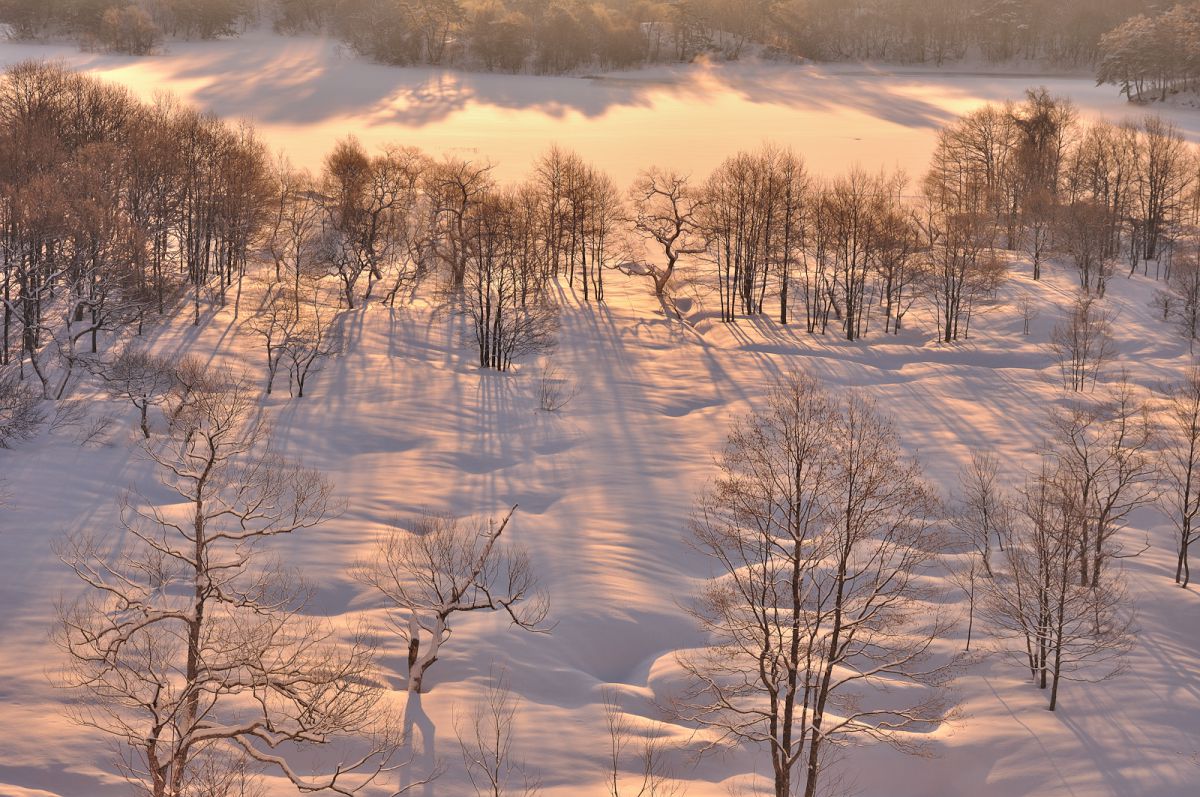 Ai AF Zoom Nikkor 28-105mm F3.5-4.5D（IF）で撮影された写真 | 写真 