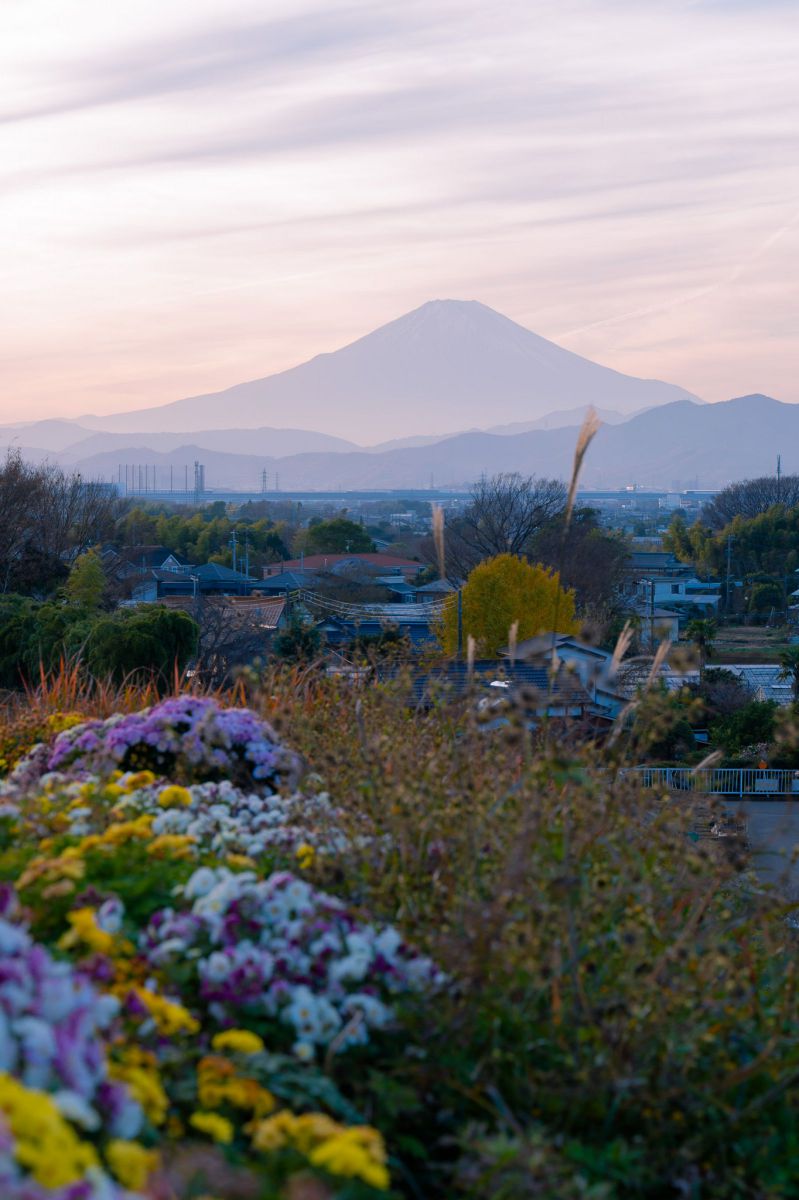 富士見台にて GANREF