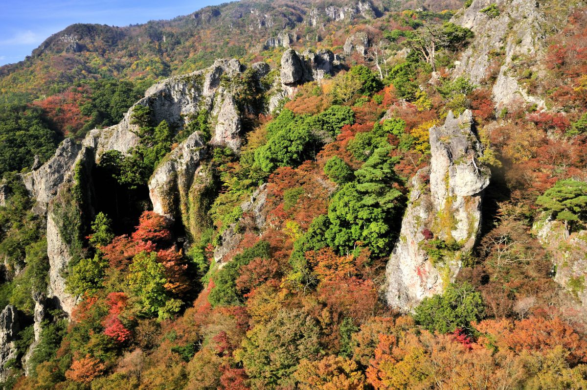 紅葉の寒霞渓 自然 風景 山 Ganref