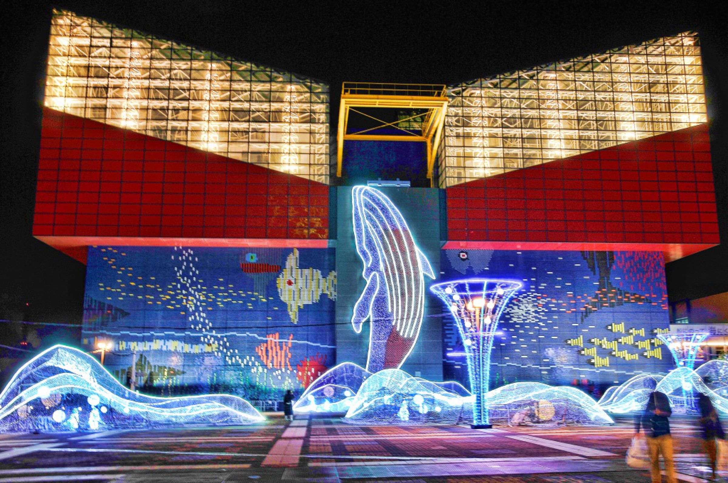 海遊人　 2015 海遊館イルミネーション | GANREF