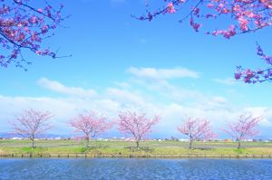 MDAwMDA2Mzg4MQ_MC43NjQ1NjIwMCA