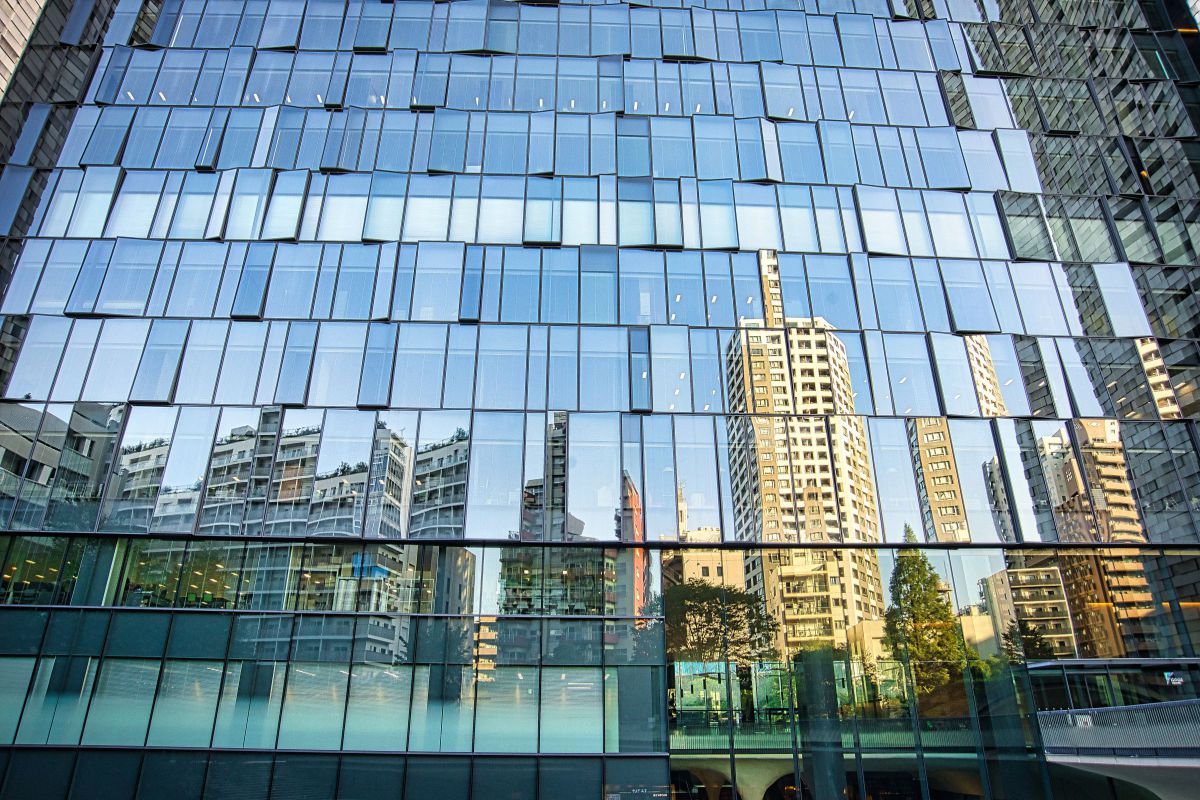 reflection | GANREF