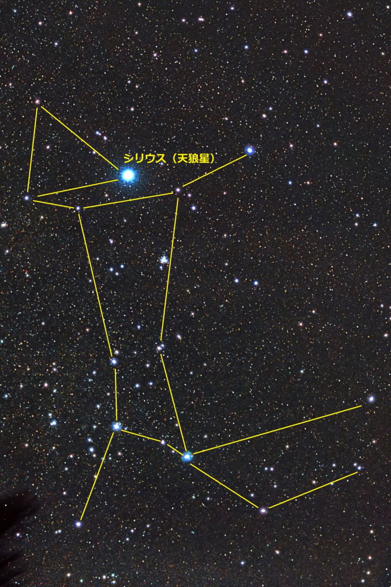 戌歳に因んで おおいぬ座 自然 風景 宇宙 天体 Ganref