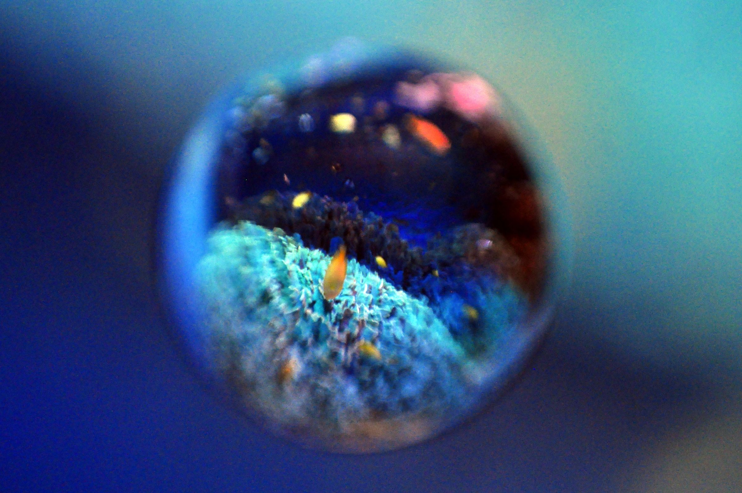 ただのビー玉 出し切り 