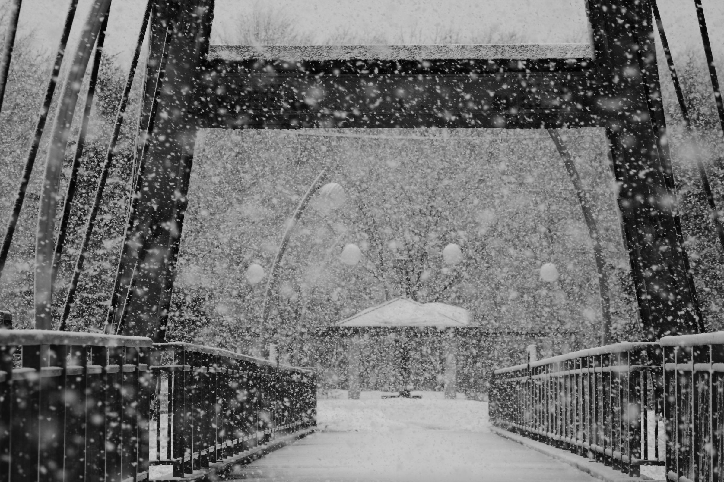 雪嵐 雪の嵐 Ⅱ | GANREF
