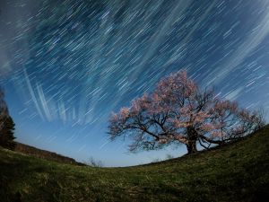 水面に映る星空(自撮りver.) | GANREF