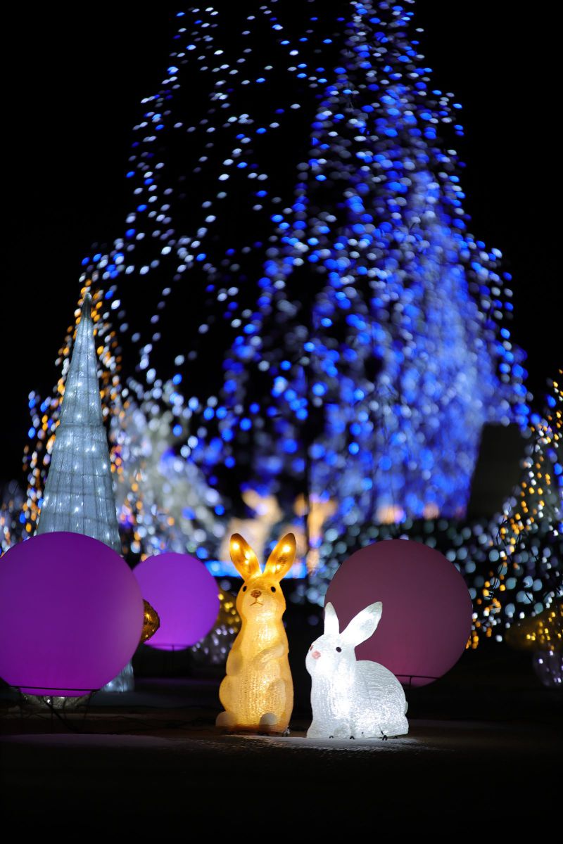 Winter Rabbit | GANREF