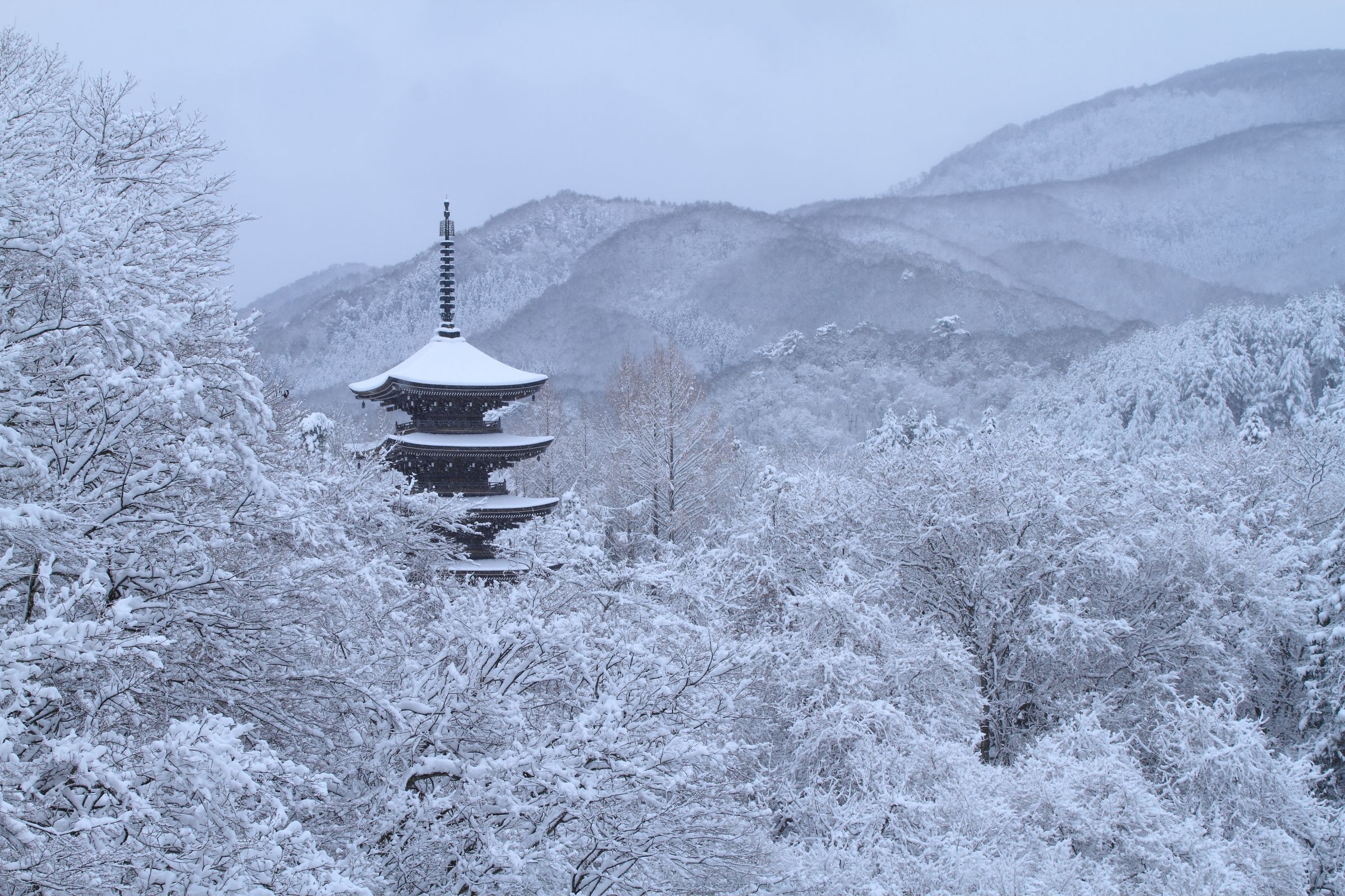 掛軸 華渓 塔之雪 共箱 五重の塔 雪 冬 3-32 掛軸 華渓 塔之雪 共箱 五重の塔 雪 冬 3-32 書