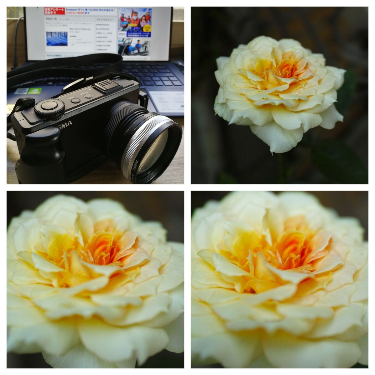 SIGMA DP2m ※ストロボとクローズアップレンズなし。 DP2M クローズアップレンズ比較 | GANREF