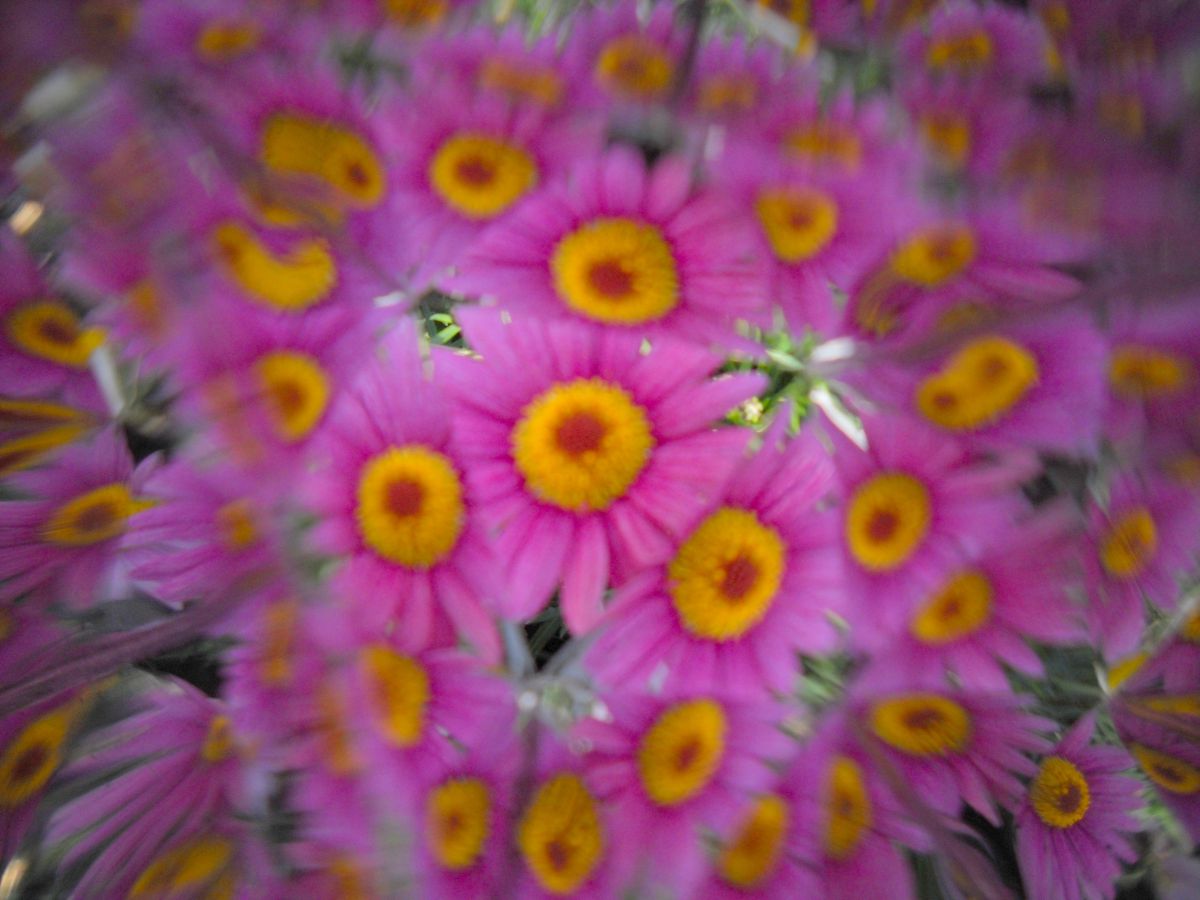 COOLPIX L20で撮影された写真 | 写真検索 | GANREF