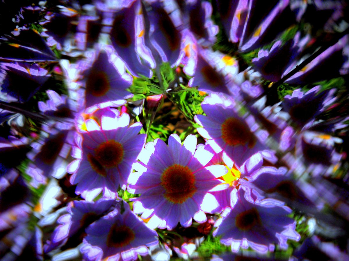 COOLPIX L20で撮影された写真 | 写真検索 | GANREF