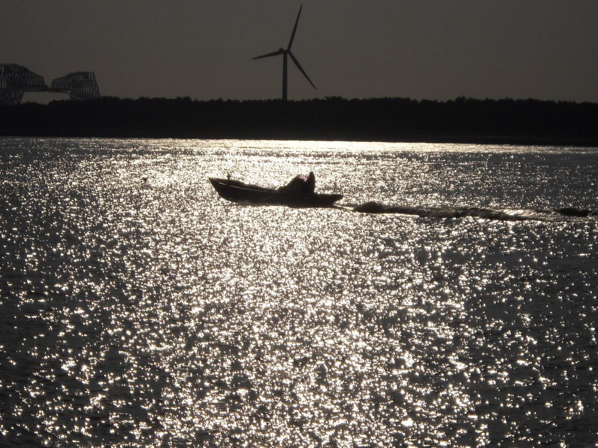 COOLPIX L20で撮影された写真 | 写真検索 | GANREF