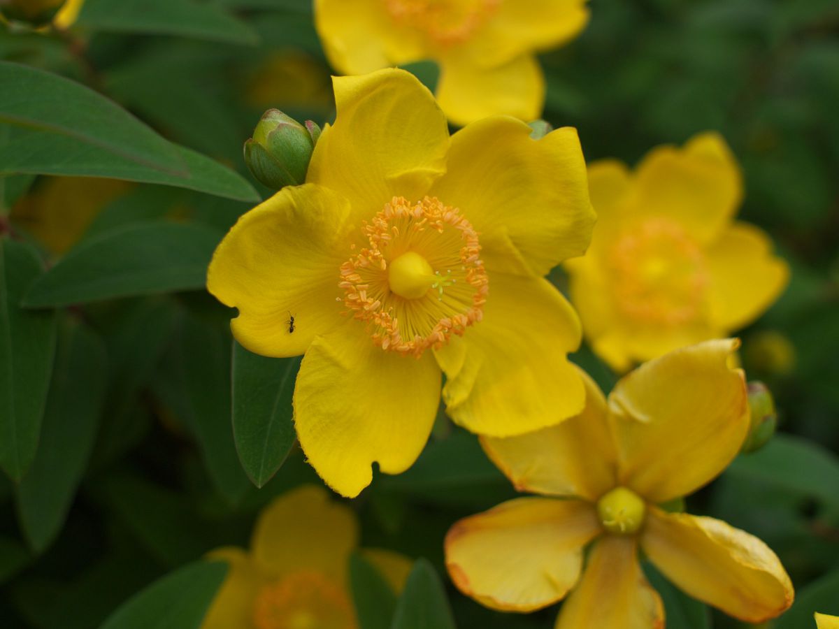 SIGMA 30mm F2.8 DN | Artで撮影された写真 | 写真検索 | GANREF