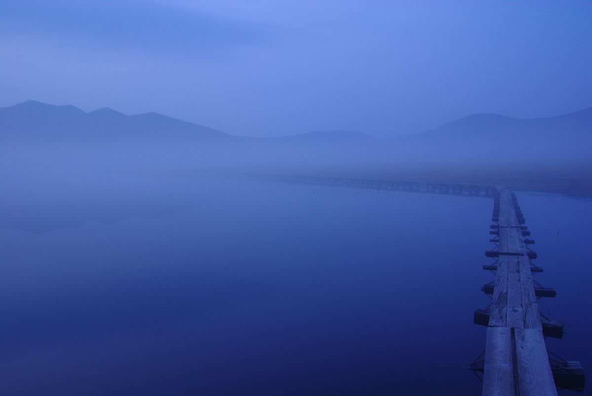 18-50mm F2.8 EX DC MACRO /HSMで撮影された写真 | 写真検索 | GANREF