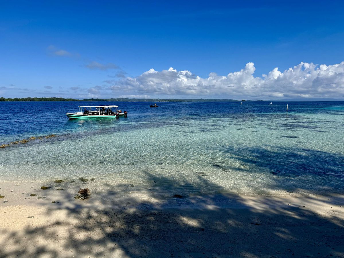 南の島だなぁ GANREF