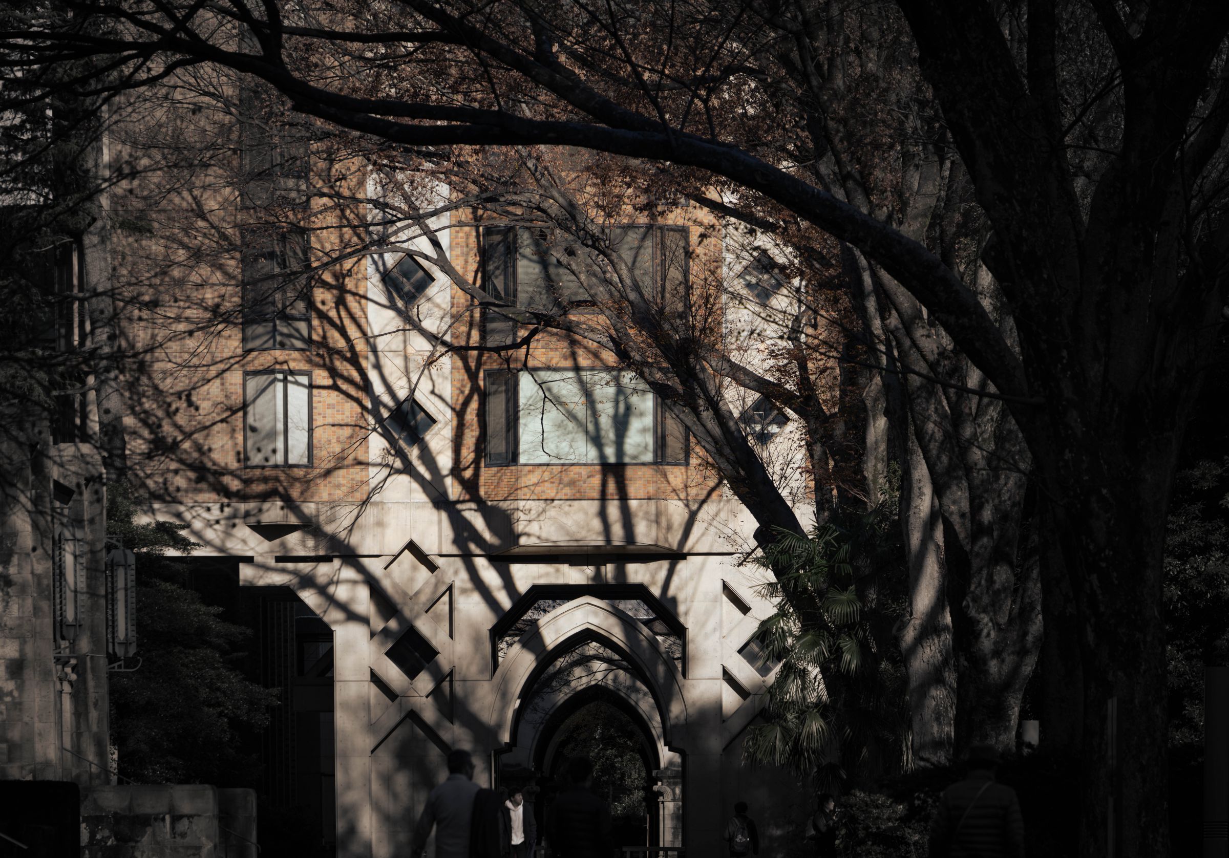 冬の光  冬の光と影の入口 | GANREF