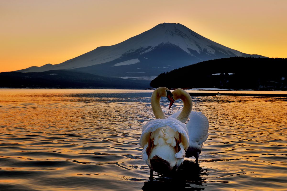 AF-S NIKKOR 24-70mm f/2.8G EDで撮影された写真 | 写真検索 | GANREF