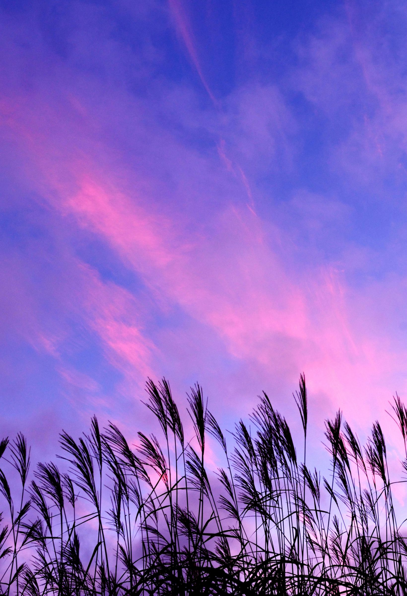 見上げれば秋の空 | GANREF