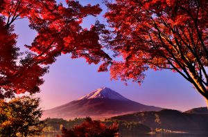 秋の朝 f3180f916e5f993cc6949618668d70