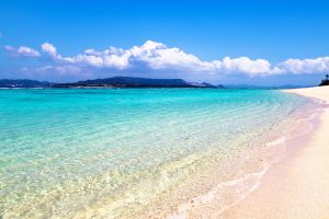 277a7e2c1b2f803b17492649fdf2f3